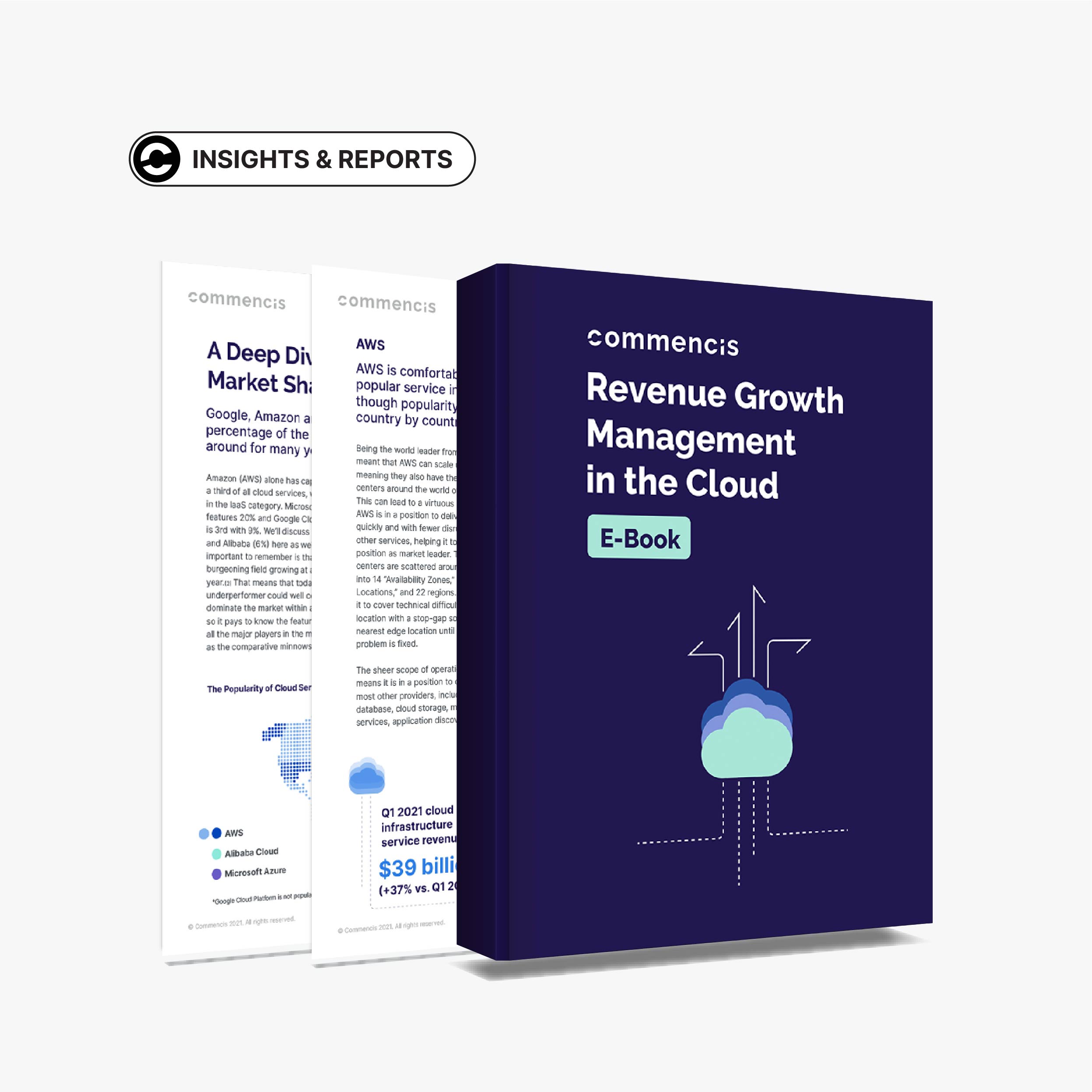 Revenue Growth Management in the Cloud