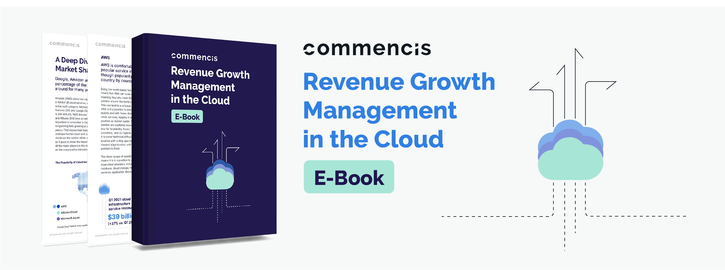 Revenue Growth Management in the Cloud