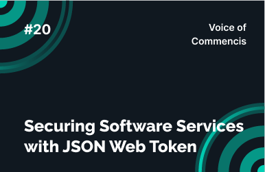 Securing Software Services with JSON Web Token