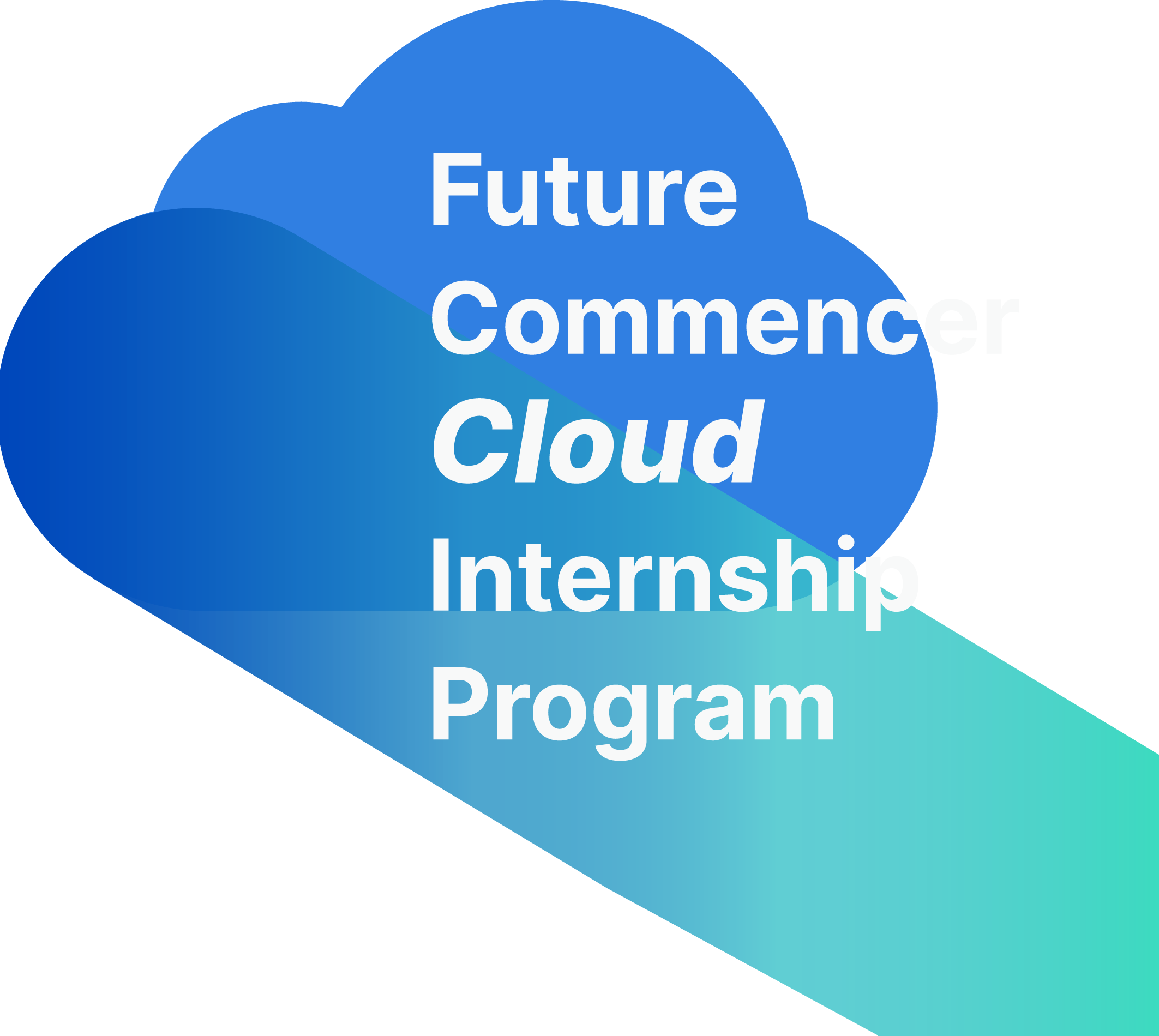 Future Commencer Internship Program 2023